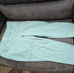 Ladies Nine West pull on pants